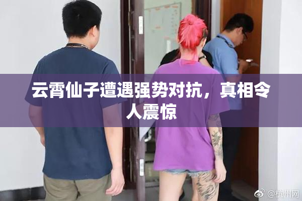 云霄仙子遭遇强势对抗，真相令人震惊
