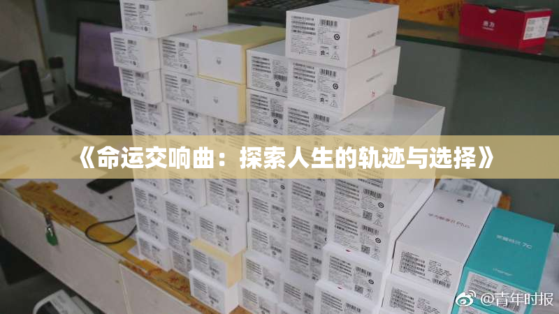 《命运交响曲：探索人生的轨迹与选择》