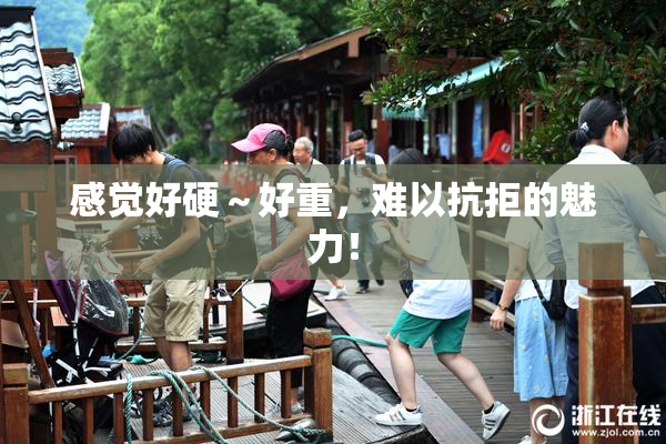 感觉好硬～好重，难以抗拒的魅力！