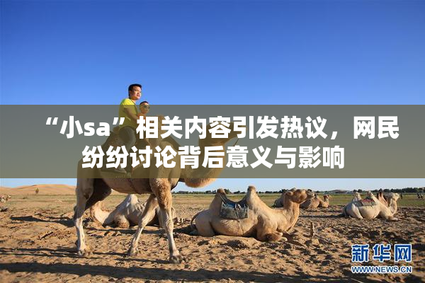 “小sa”相关内容引发热议，网民纷纷讨论背后意义与影响