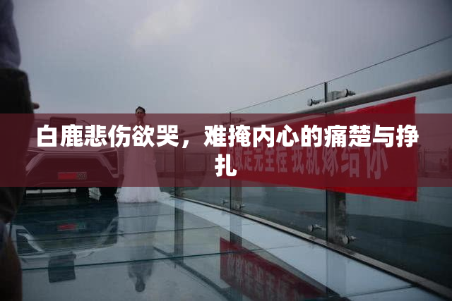 白鹿悲伤欲哭，难掩内心的痛楚与挣扎