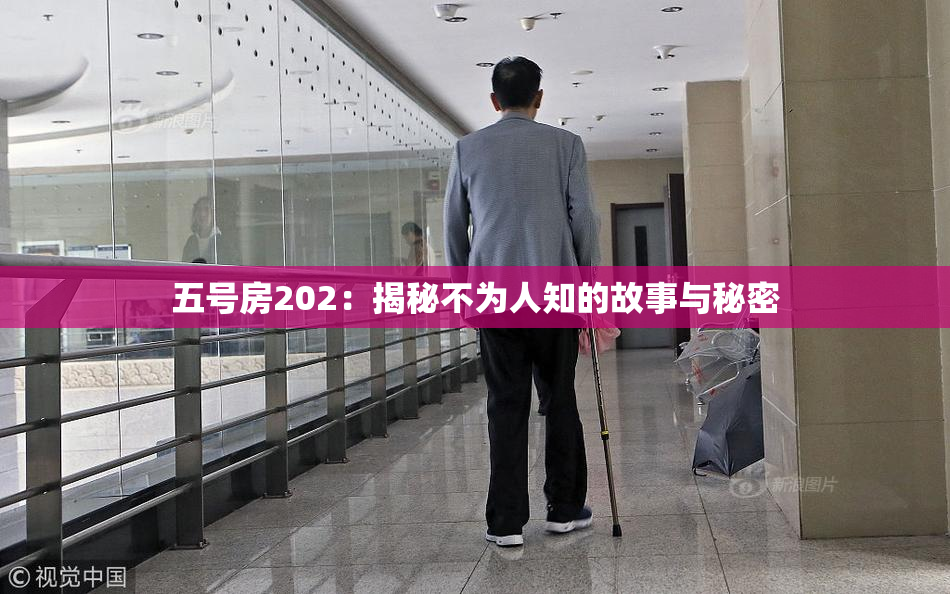五号房202：揭秘不为人知的故事与秘密