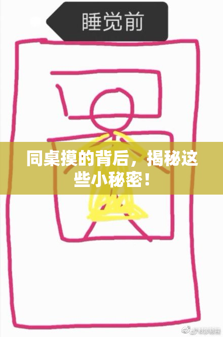 同桌摸的背后，揭秘这些小秘密！