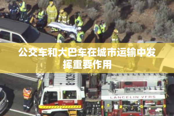 公交车和大巴车在城市运输中发挥重要作用