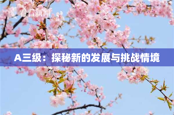 A三级：探秘新的发展与挑战情境