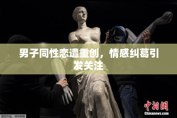 男子同性恋遭重创，情感纠葛引发关注