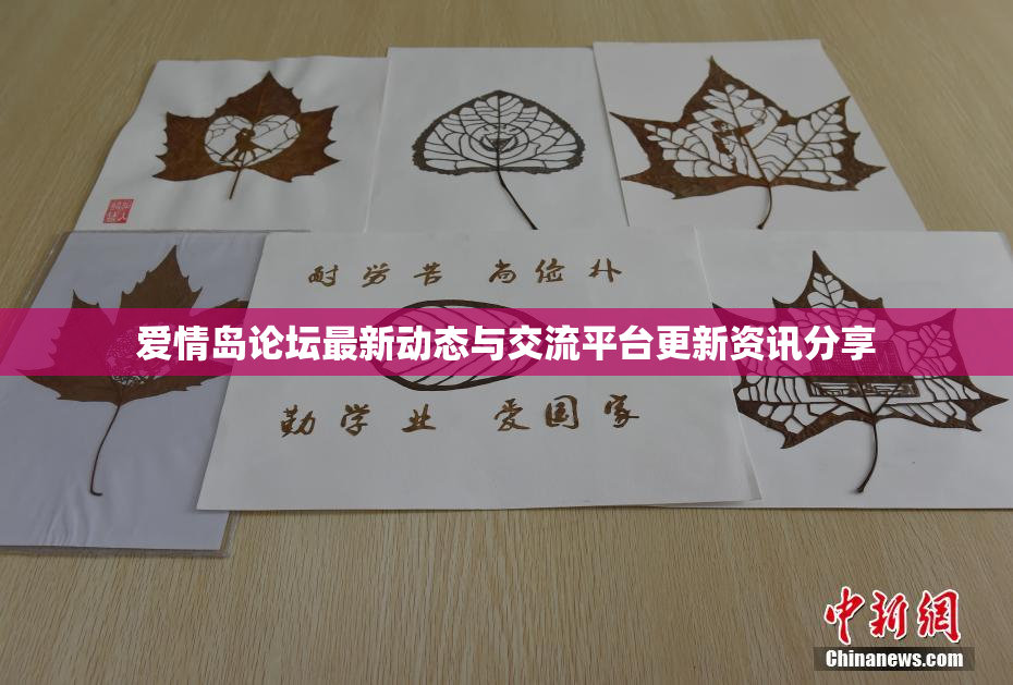 爱情岛论坛最新动态与交流平台更新资讯分享