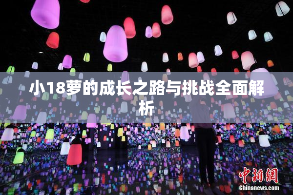 小18萝的成长之路与挑战全面解析