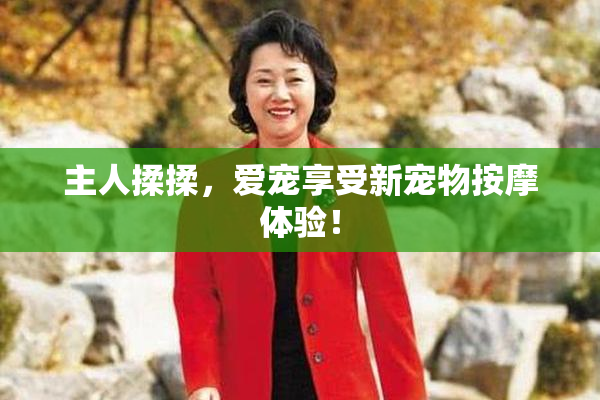 主人揉揉，爱宠享受新宠物按摩体验！