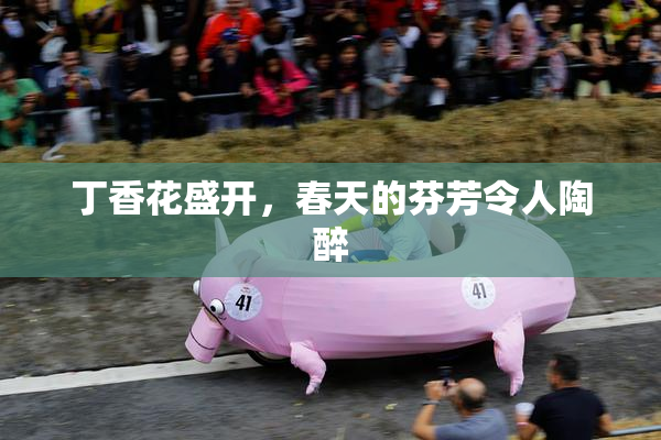 丁香花盛开，春天的芬芳令人陶醉