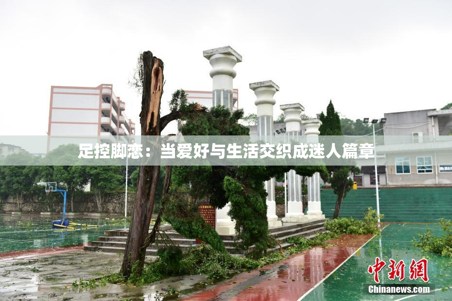 足控脚恋：当爱好与生活交织成迷人篇章