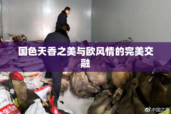 国色天香之美与欧风情的完美交融