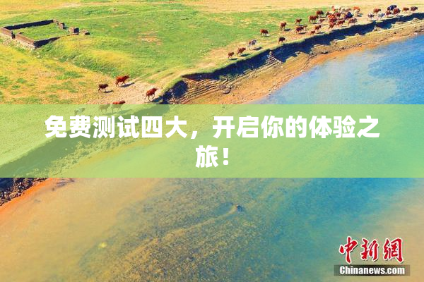 免费测试四大，开启你的体验之旅！