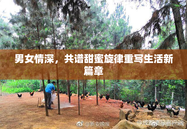 男女情深，共谱甜蜜旋律重写生活新篇章