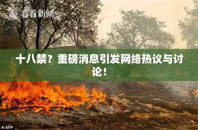 十八禁？重磅消息引发网络热议与讨论！