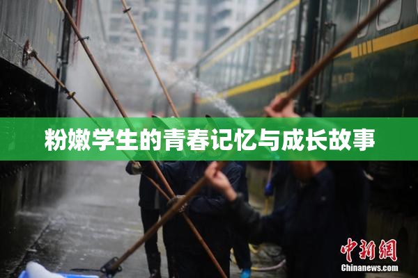 粉嫩学生的青春记忆与成长故事