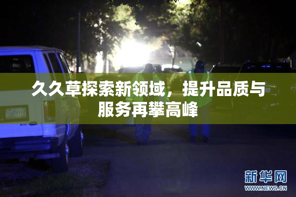久久草探索新领域，提升品质与服务再攀高峰