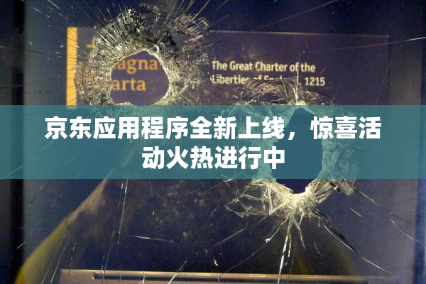 京东应用程序全新上线，惊喜活动火热进行中