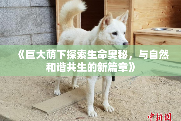 《巨大荫下探索生命奥秘，与自然和谐共生的新篇章》