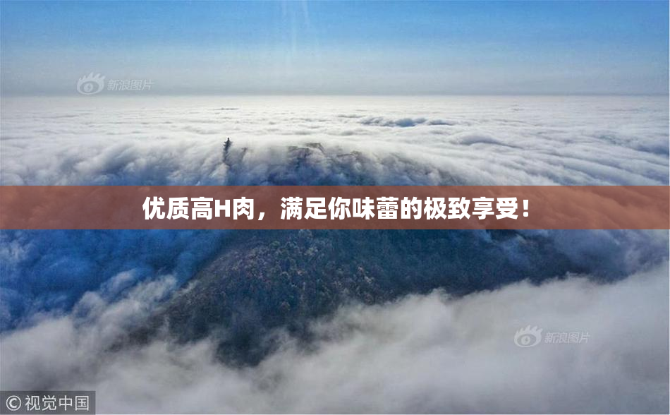 优质高H肉，满足你味蕾的极致享受！