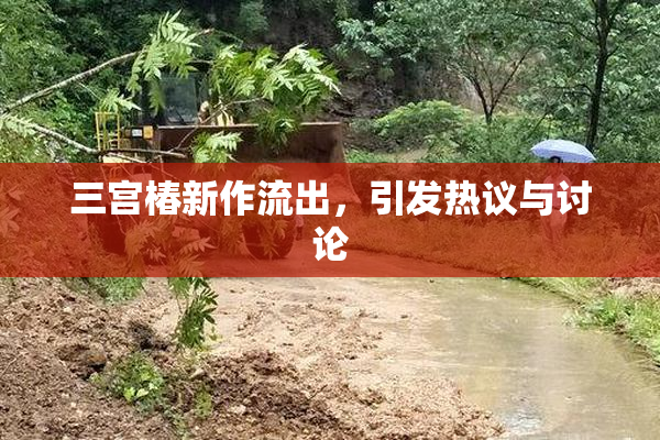 三宫椿新作流出，引发热议与讨论