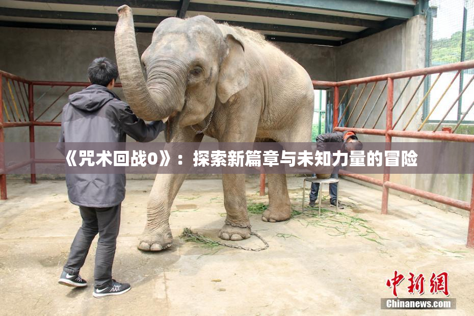 《咒术回战0》：探索新篇章与未知力量的冒险