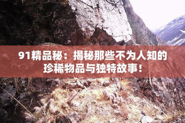 91精品秘：揭秘那些不为人知的珍稀物品与独特故事！