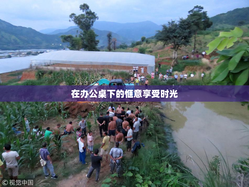 在办公桌下的惬意享受时光