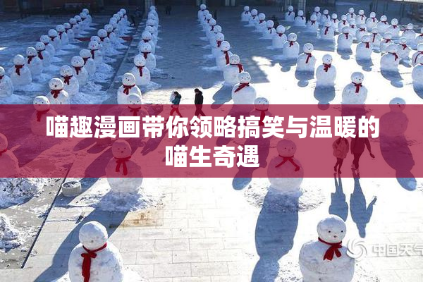 喵趣漫画带你领略搞笑与温暖的喵生奇遇