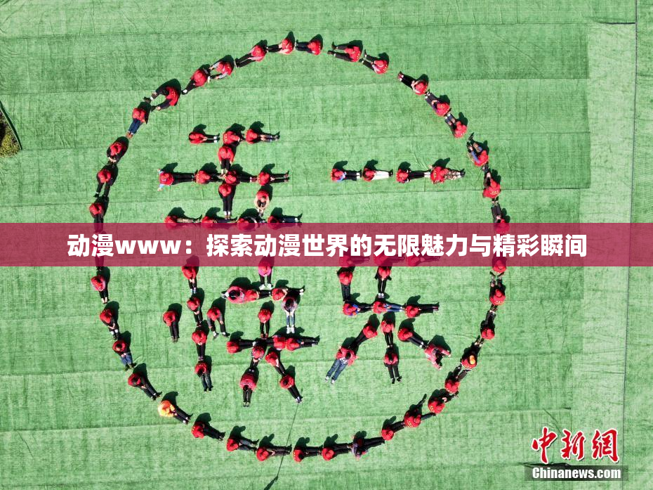 动漫www：探索动漫世界的无限魅力与精彩瞬间