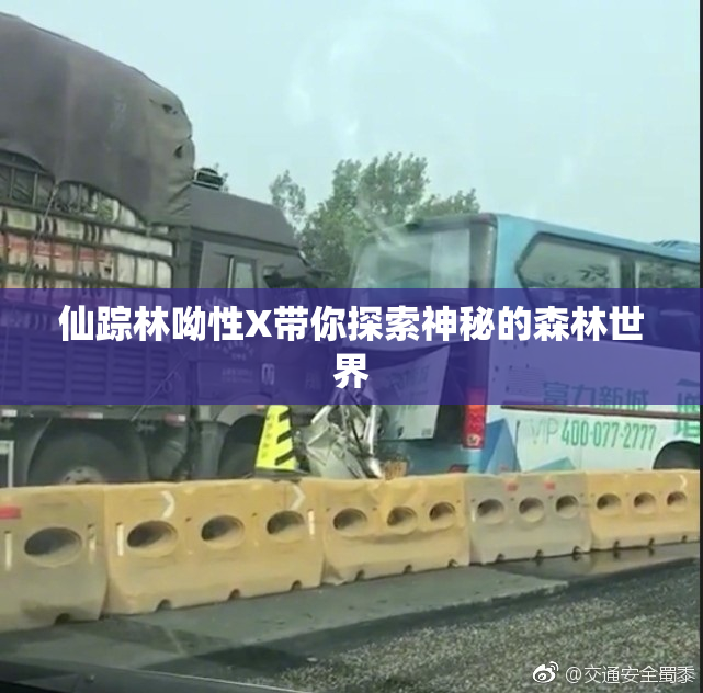 仙踪林呦性X带你探索神秘的森林世界