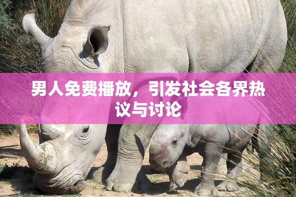 男人免费播放，引发社会各界热议与讨论