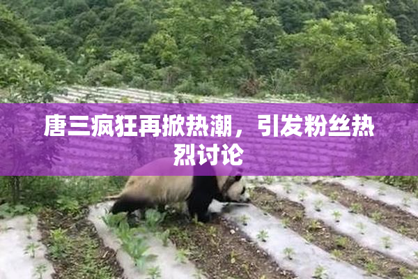 唐三疯狂再掀热潮，引发粉丝热烈讨论
