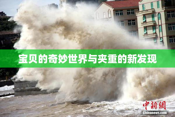 宝贝的奇妙世界与夹重的新发现