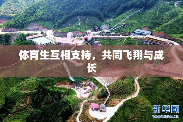 体育生互相支持，共同飞翔与成长