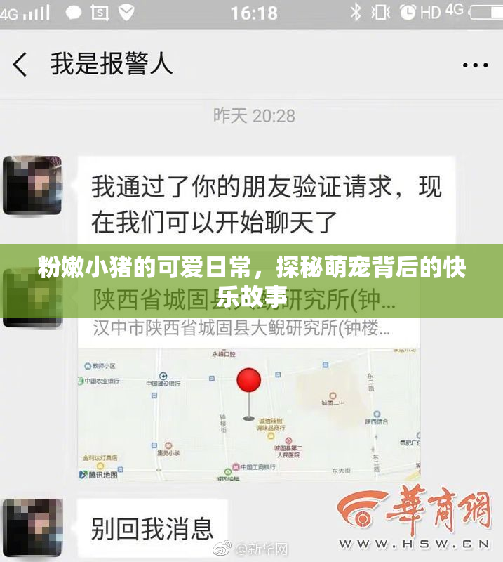 粉嫩小猪的可爱日常，探秘萌宠背后的快乐故事