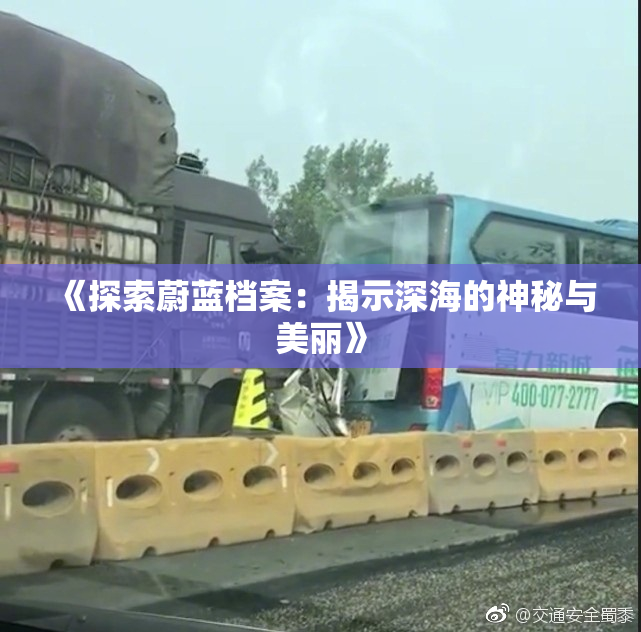 《探索蔚蓝档案：揭示深海的神秘与美丽》