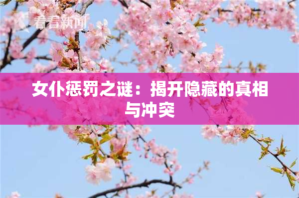 女仆惩罚之谜：揭开隐藏的真相与冲突