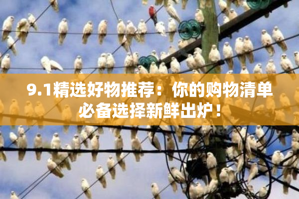 9.1精选好物推荐：你的购物清单必备选择新鲜出炉！