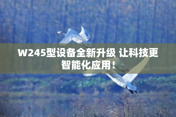 W245型设备全新升级 让科技更智能化应用！