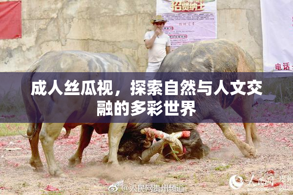 成人丝瓜视，探索自然与人文交融的多彩世界