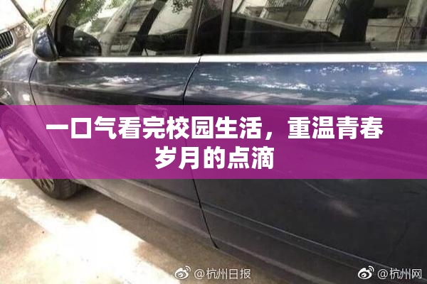 一口气看完校园生活，重温青春岁月的点滴