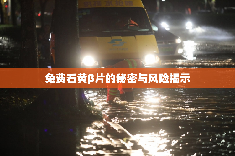 免费看黄β片的秘密与风险揭示