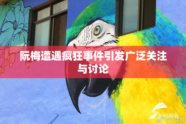 阮梅遭遇疯狂事件引发广泛关注与讨论