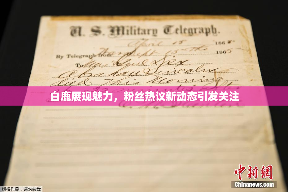 白鹿展现魅力，粉丝热议新动态引发关注