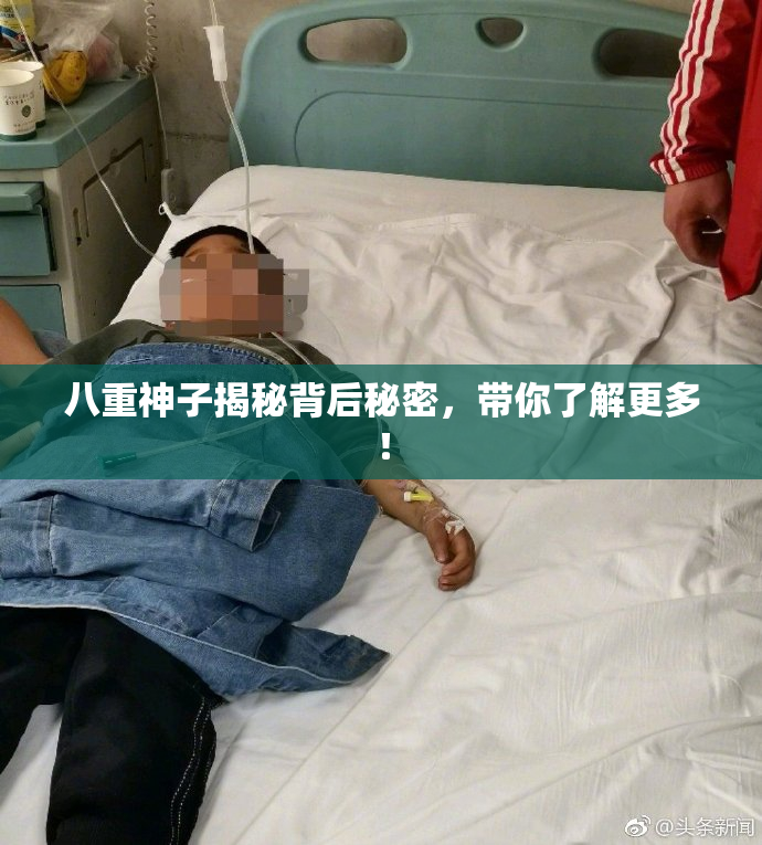 八重神子揭秘背后秘密，带你了解更多！