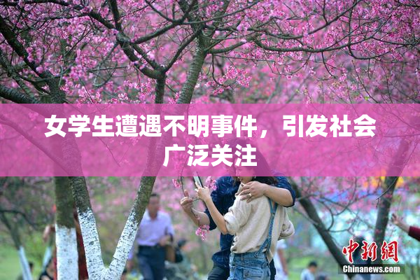 女学生遭遇不明事件，引发社会广泛关注