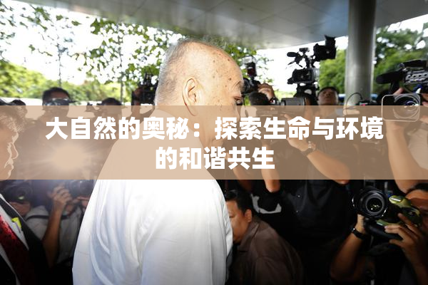 大自然的奥秘：探索生命与环境的和谐共生
