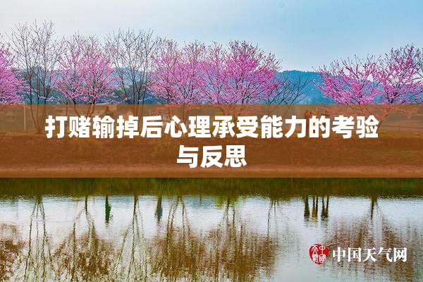 打赌输掉后心理承受能力的考验与反思
