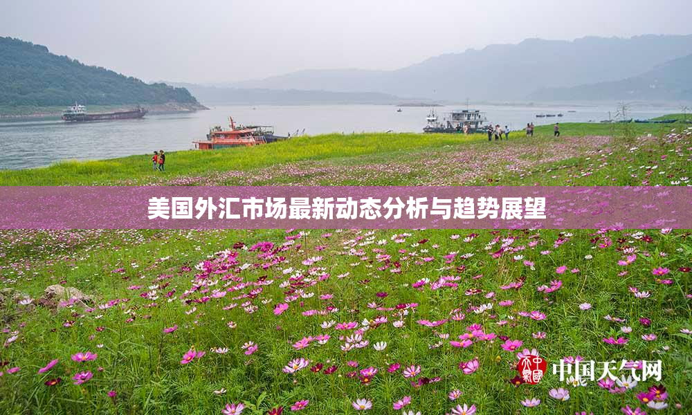 美国外汇市场最新动态分析与趋势展望